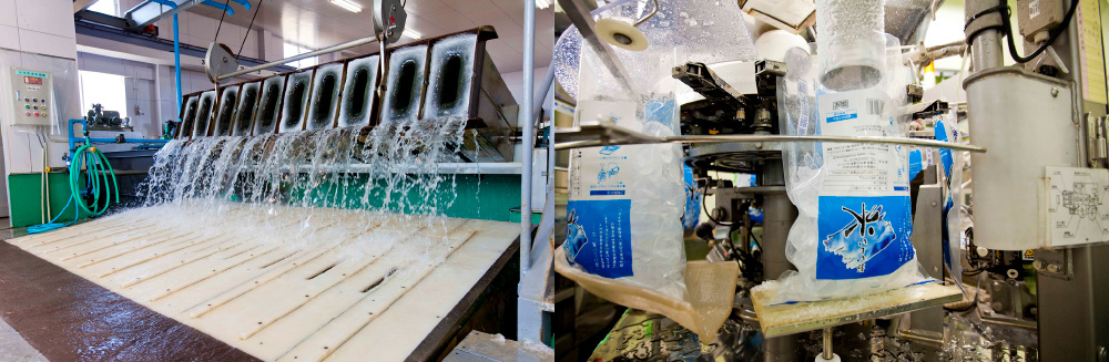 企業様の水商品×氷屋川久ＯＥＭ氷の製造