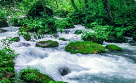 新潟上越妙高山の氷