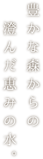 豊かな森からの澄んだ恵みの水。